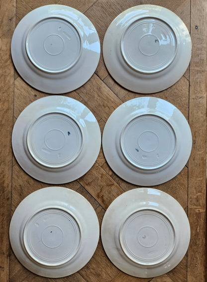 Assiettes plates terre de fer, coquelicots