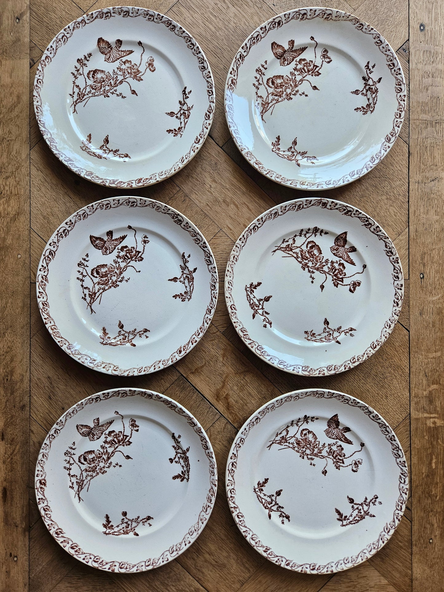 Assiettes à dessert terre de fer, coquelicots