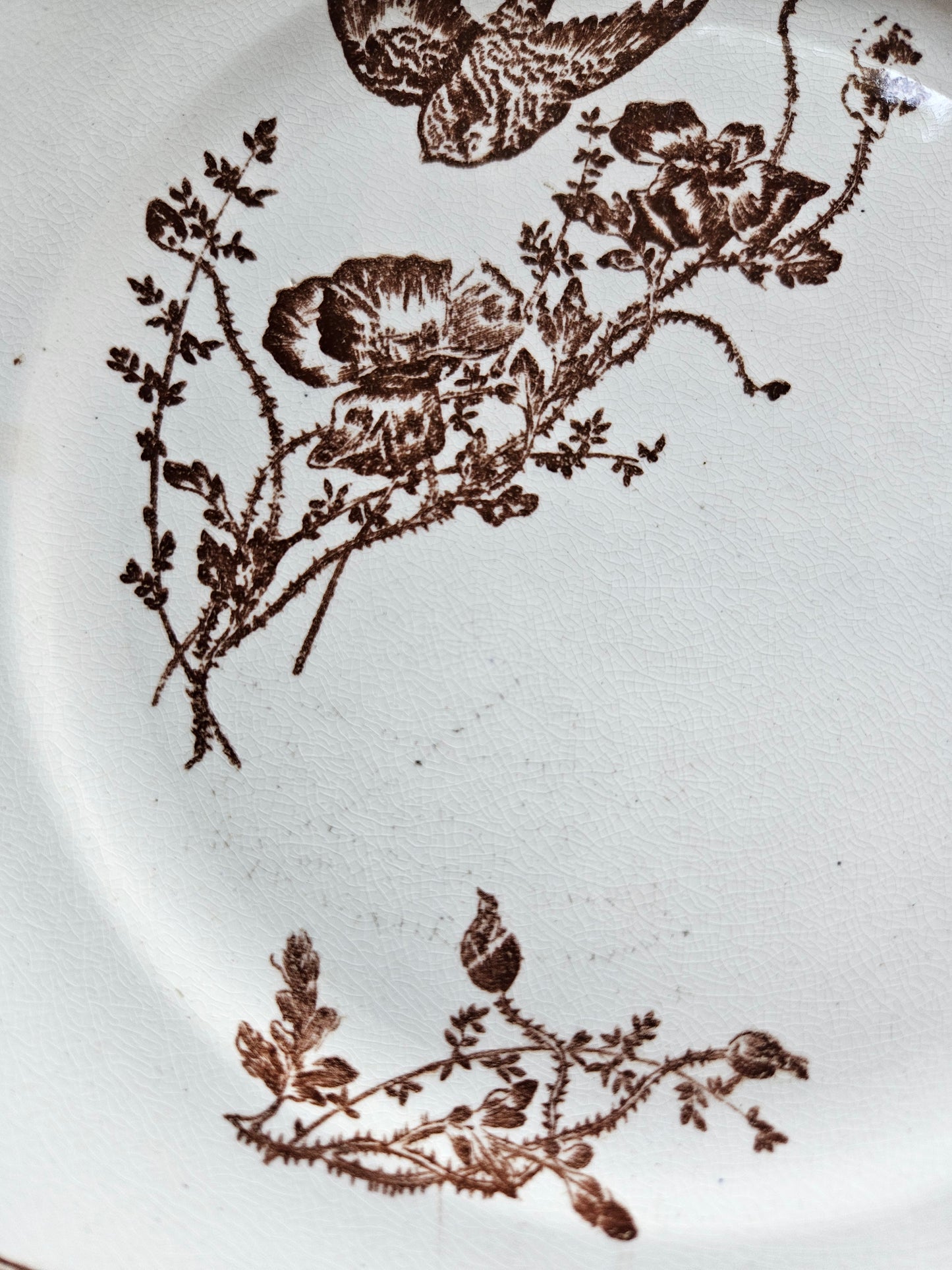 Assiettes à dessert terre de fer, coquelicots