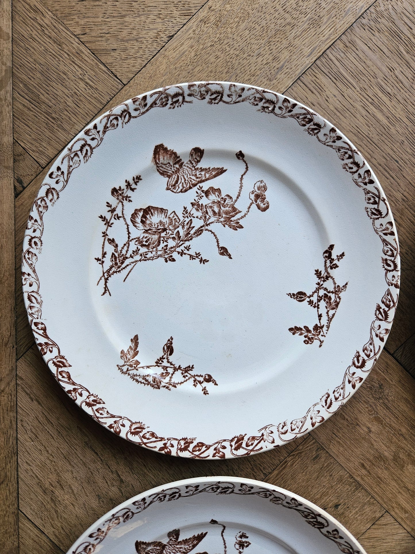 Assiettes à dessert terre de fer, coquelicots