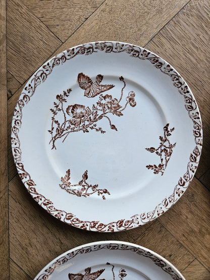 Assiettes à dessert terre de fer, coquelicots