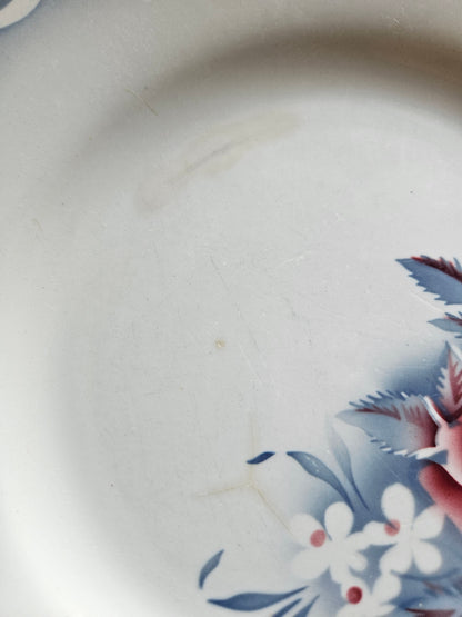Assiettes plates rétro Digoin, Olga