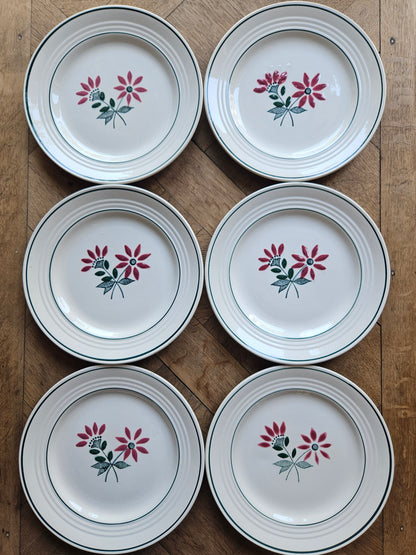 Assiettes plates Ceranord, Gigi