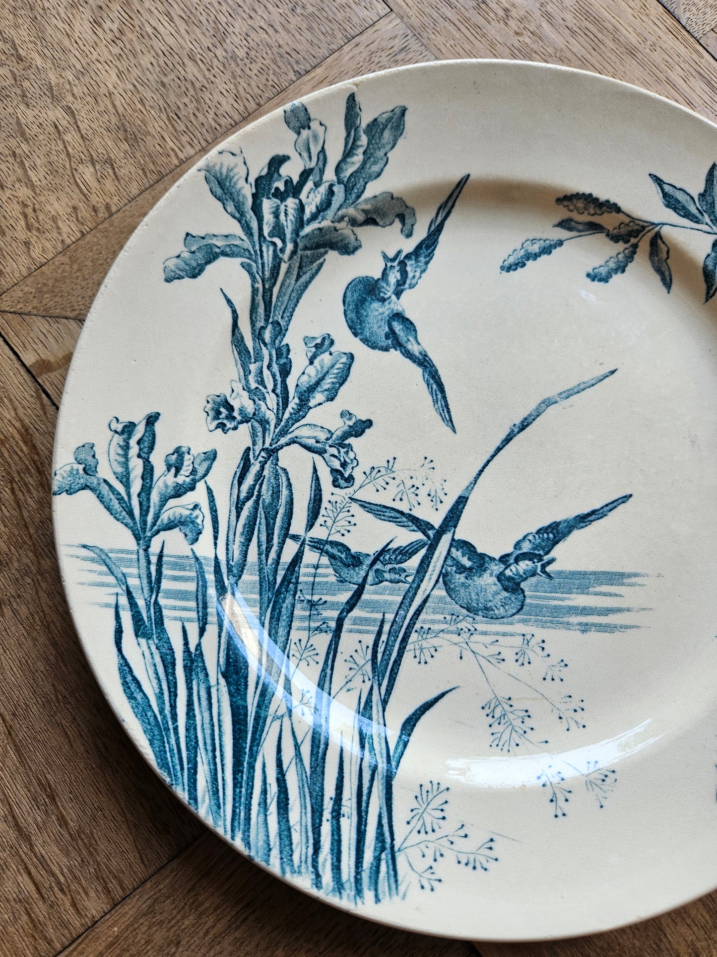 Assiette plate Samaritaine, Nenuphar