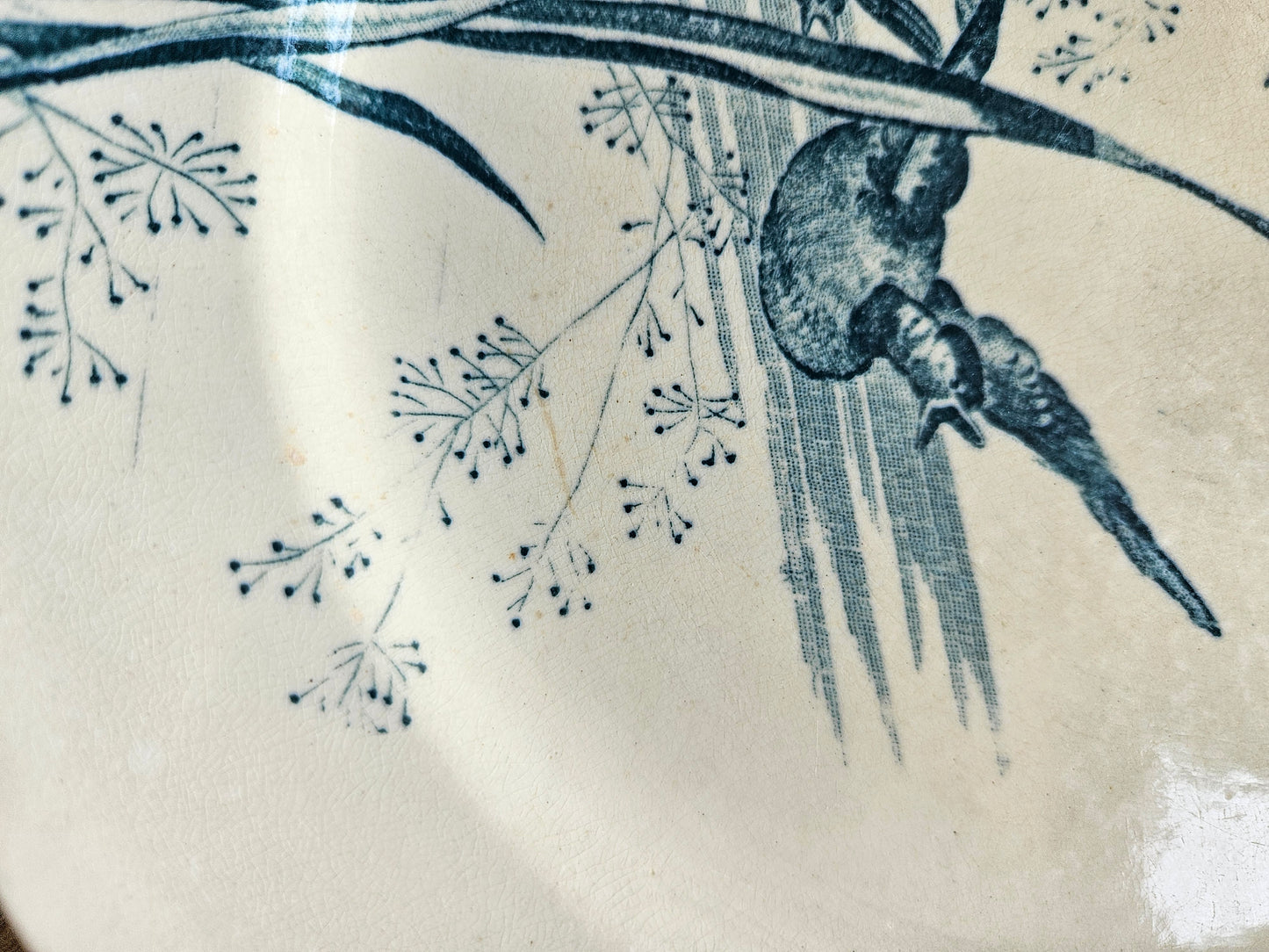 Assiette plate Samaritaine, Nenuphar