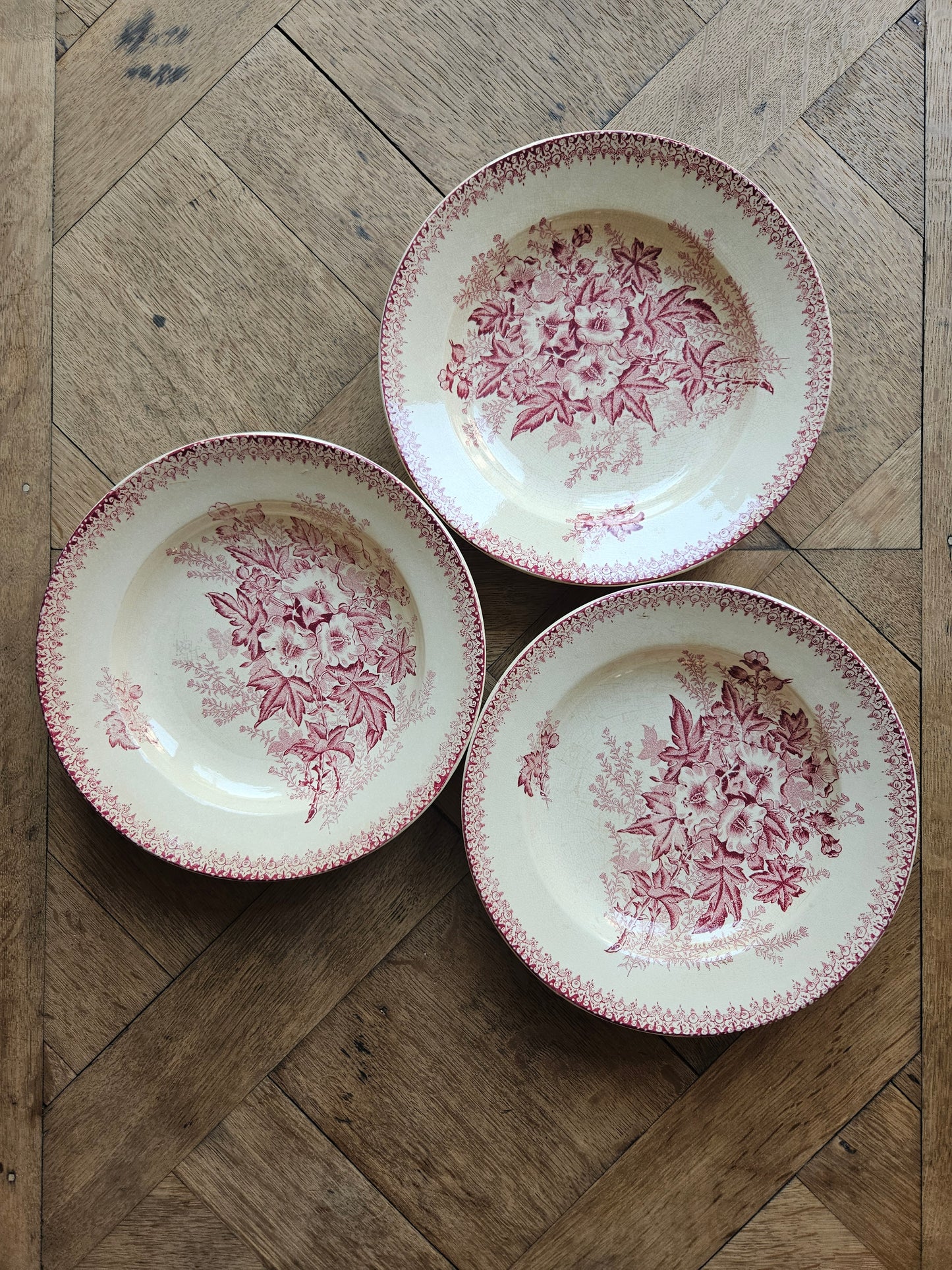 Assiettes creuses Onnaing, Églantines