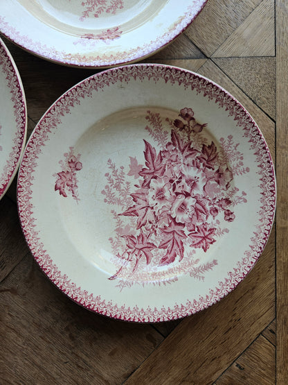 Assiettes creuses Onnaing, Églantines