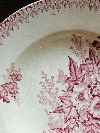 Assiettes creuses Onnaing, Églantines