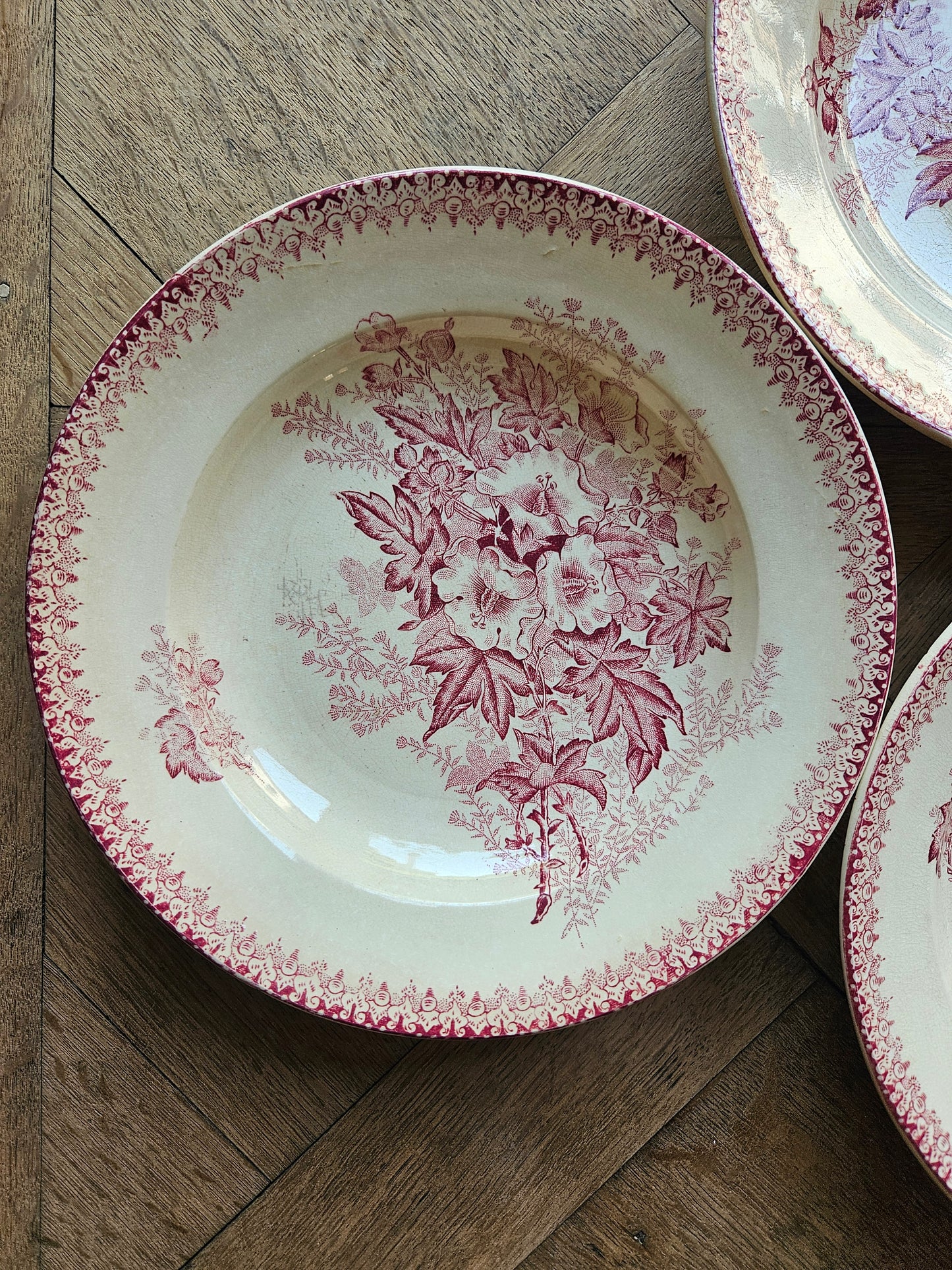 Assiettes creuses Onnaing, Églantines