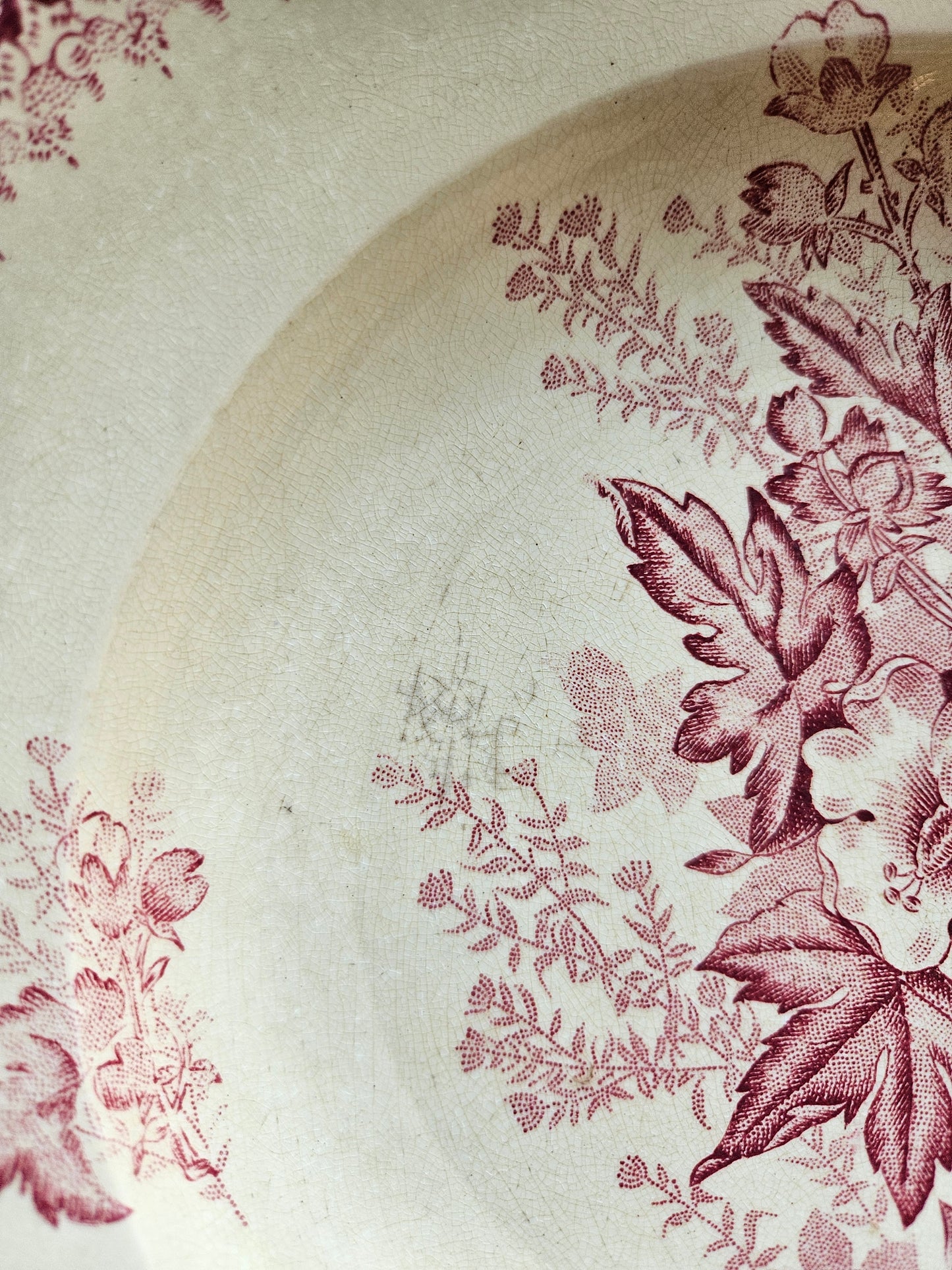 Assiettes creuses Onnaing, Églantines