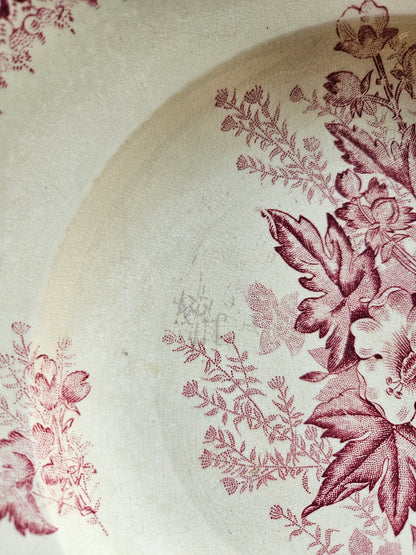 Assiettes creuses Onnaing, Églantines