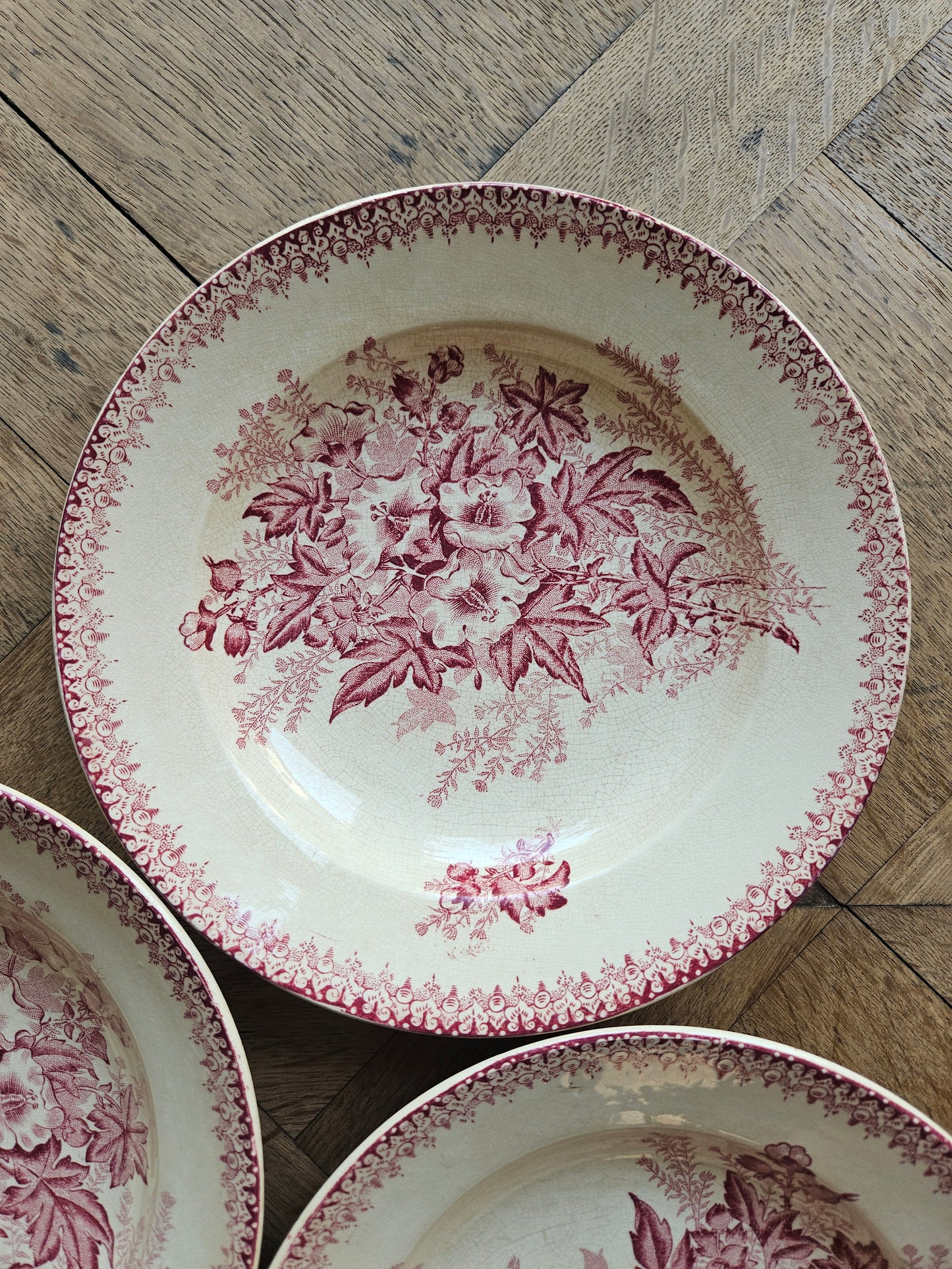 Assiettes creuses Onnaing, Églantines