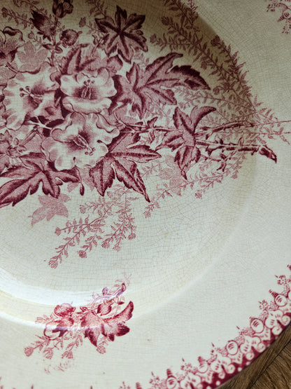 Assiettes creuses Onnaing, Églantines