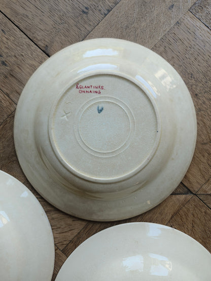 Assiettes creuses Onnaing, Églantines