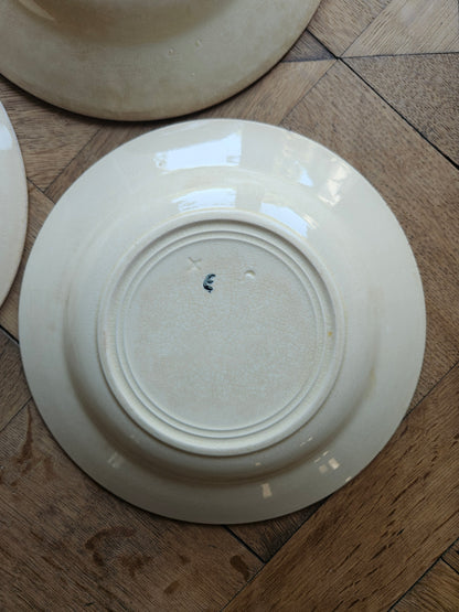 Assiettes creuses Onnaing, Églantines