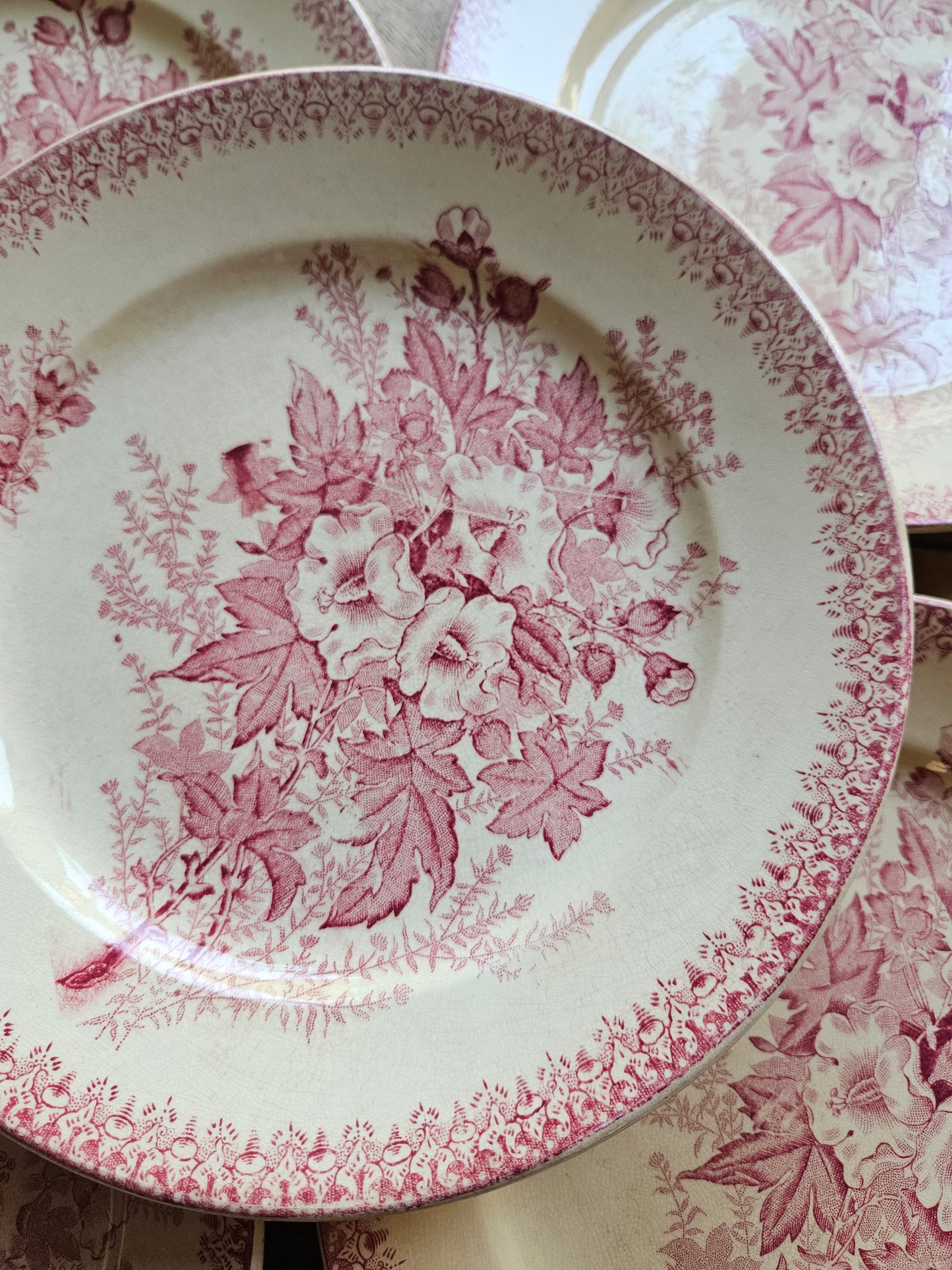 Assiettes plates Onnaing, Églantines