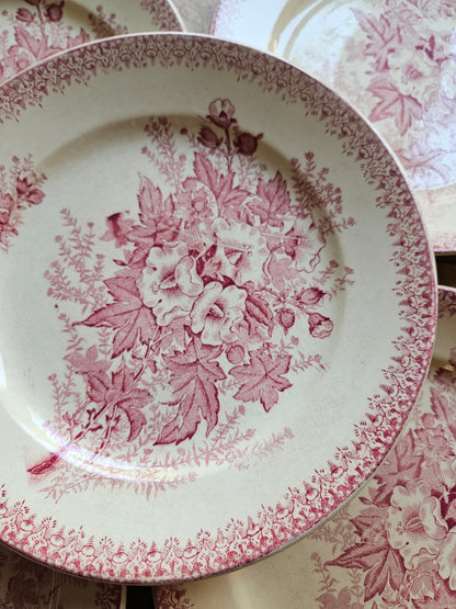 Assiettes plates Onnaing, Églantines