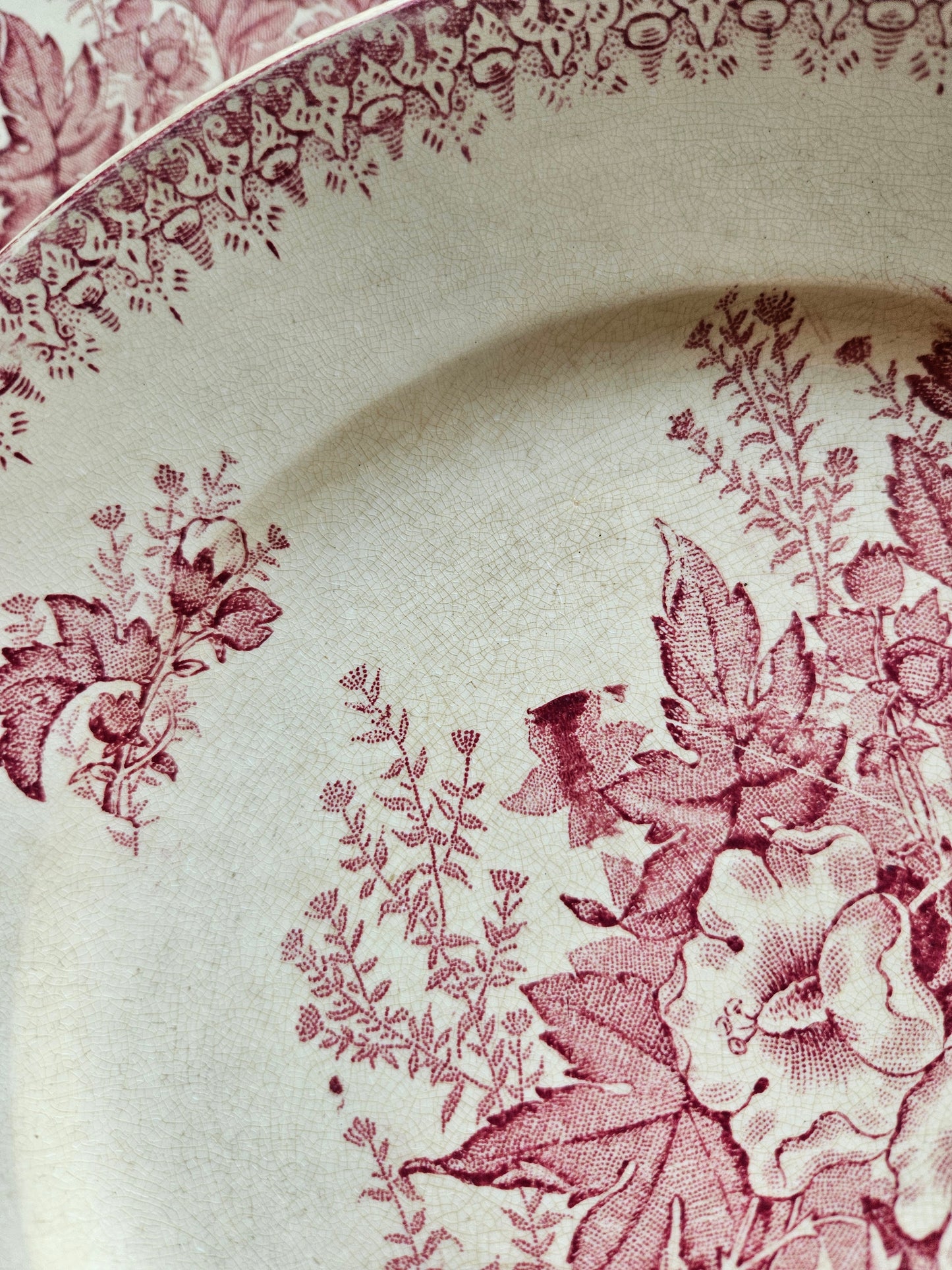 Assiettes plates Onnaing, Églantines