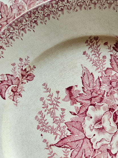 Assiettes plates Onnaing, Églantines