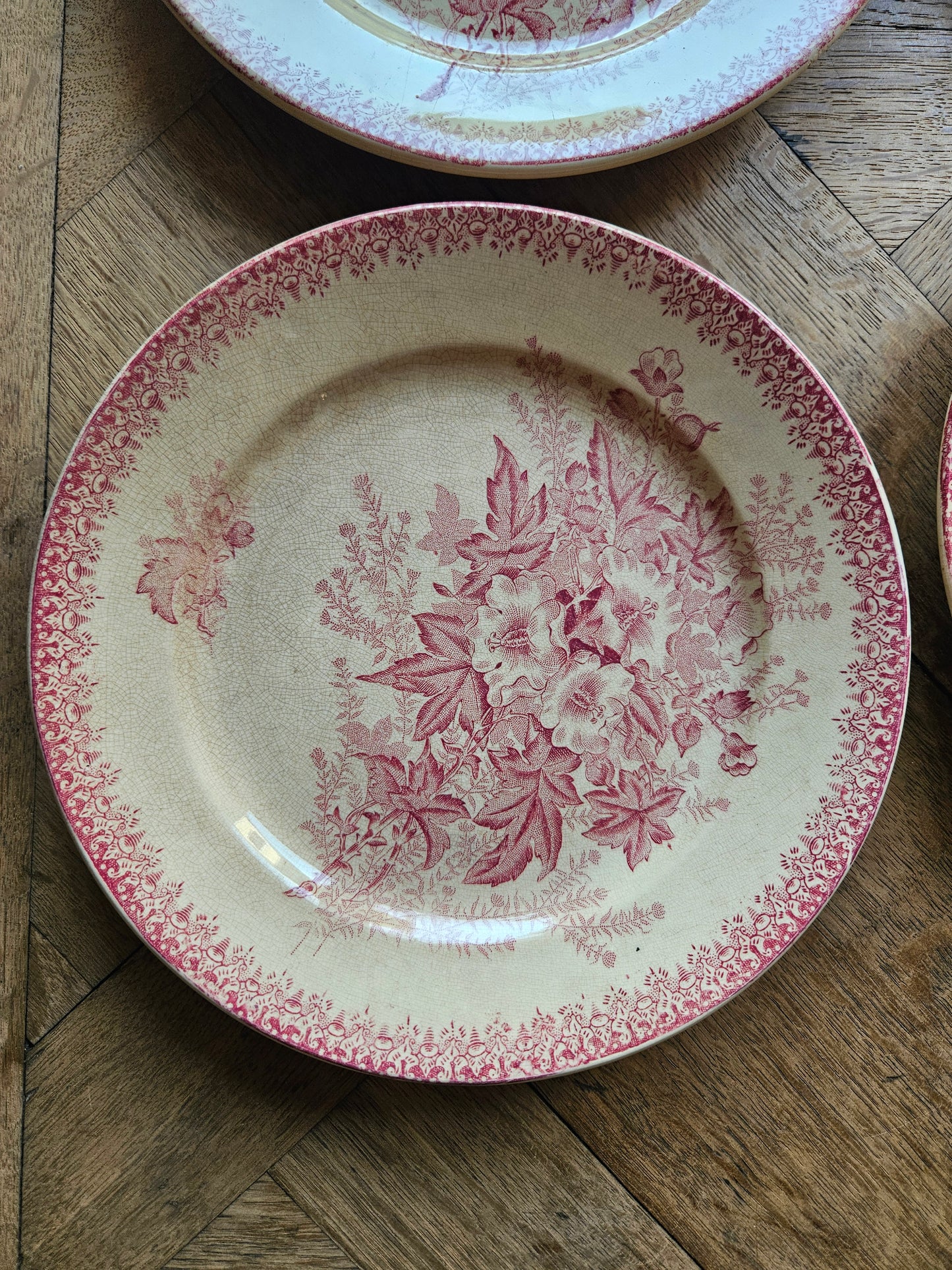 Assiettes plates Onnaing, Églantines