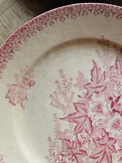 Assiettes plates Onnaing, Églantines