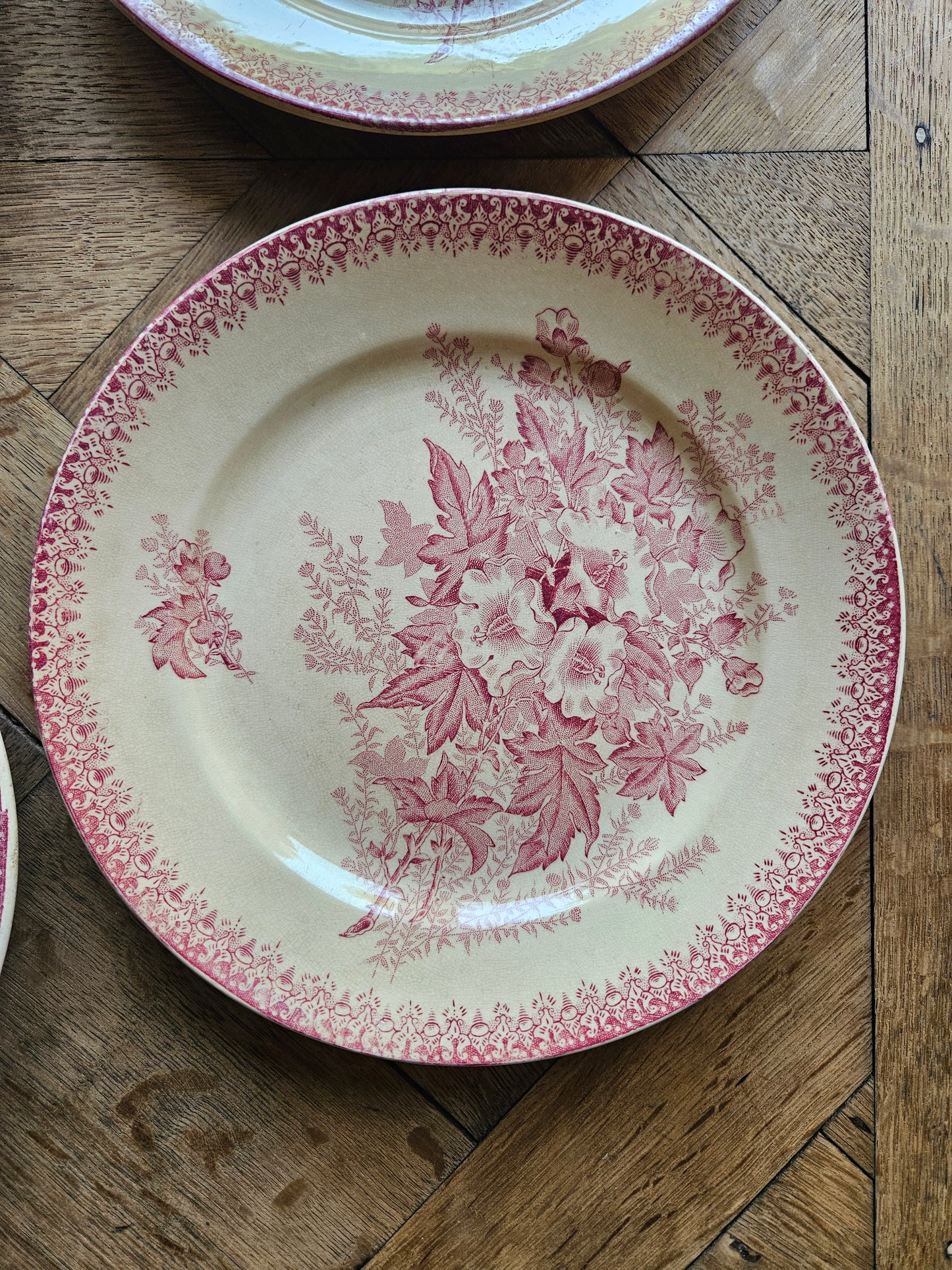 Assiettes plates Onnaing, Églantines