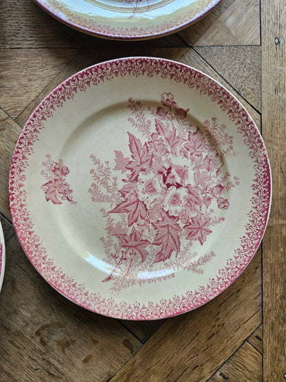 Assiettes plates Onnaing, Églantines