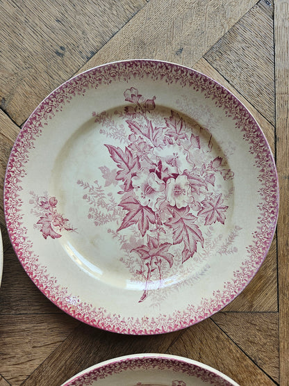 Assiettes plates Onnaing, Églantines