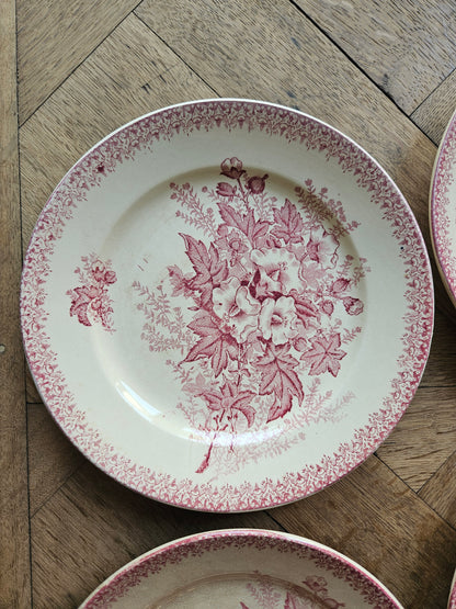 Assiettes plates Onnaing, Églantines