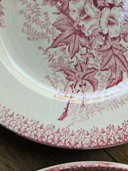 Assiettes plates Onnaing, Églantines