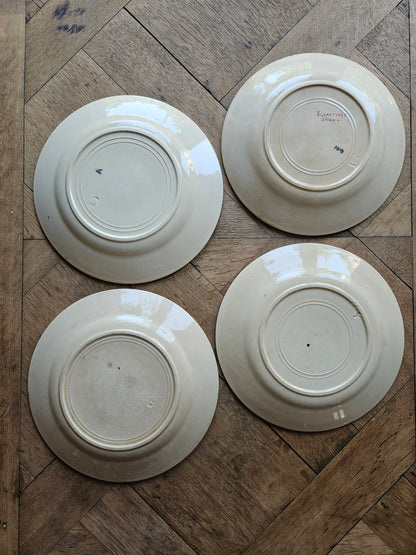 Assiettes plates Onnaing, Églantines