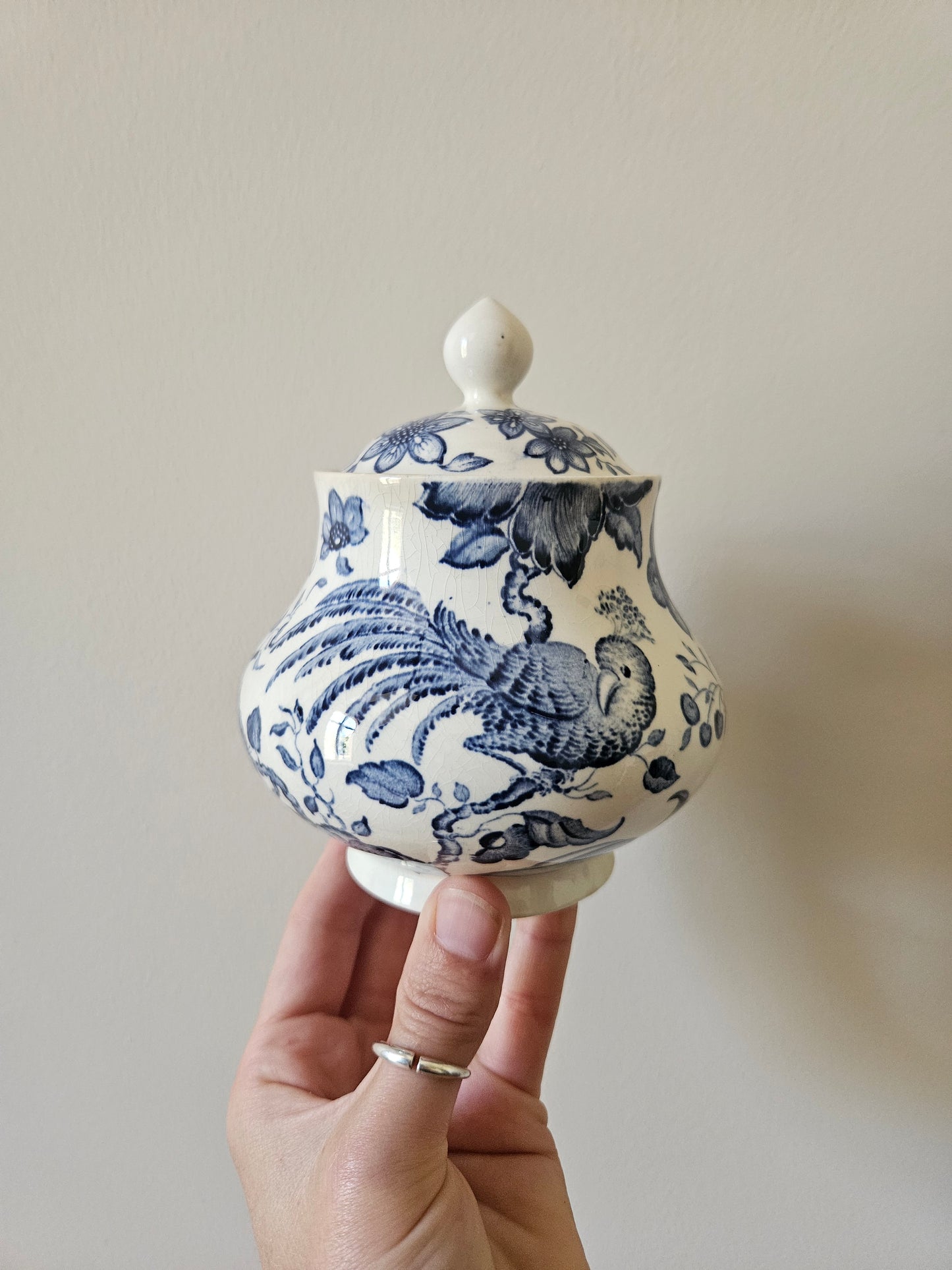 Sucrier Villeroy et Boch, Paradiso