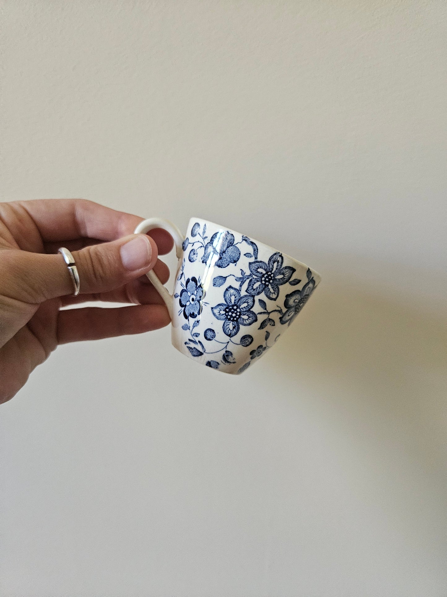 Tasse et sous-tasse Villeroy et Boch, Paradiso