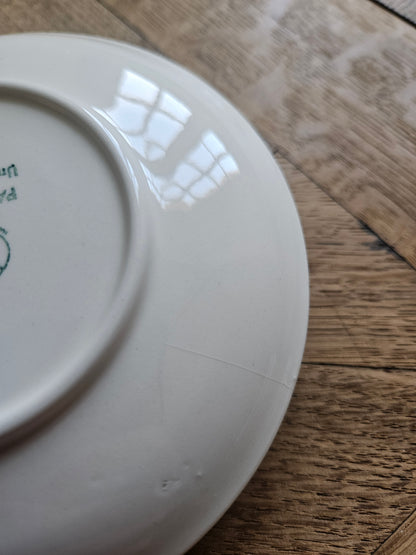 Sous-tasses Villeroy et Boch, Paradiso