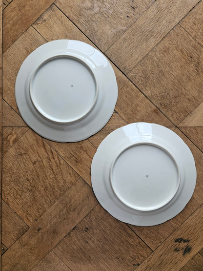 Assiettes plates dépareillées "Périgord"