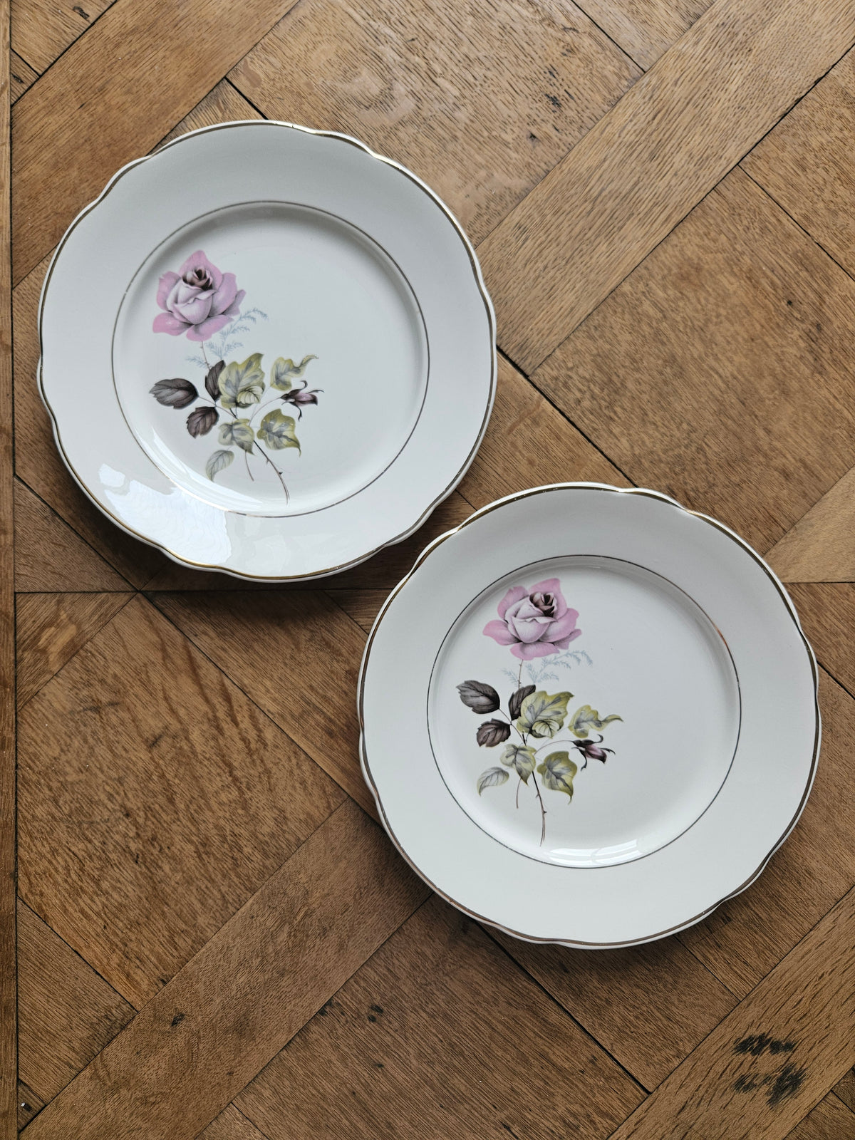 Assiettes plates dépareillées "Périgord"