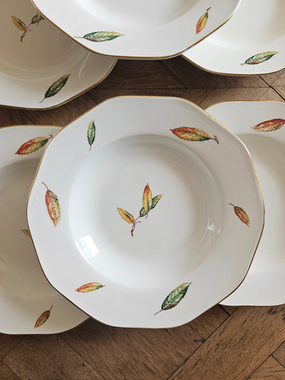 Assiettes creuses Digoin, Nemours