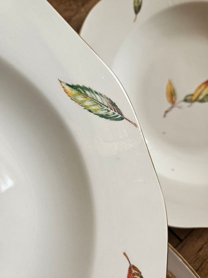 Assiettes creuses Digoin, Nemours