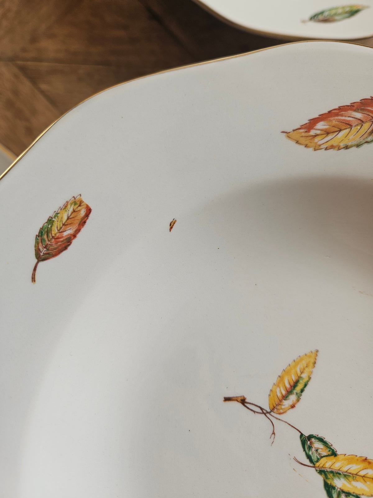 Assiettes creuses Digoin, Nemours