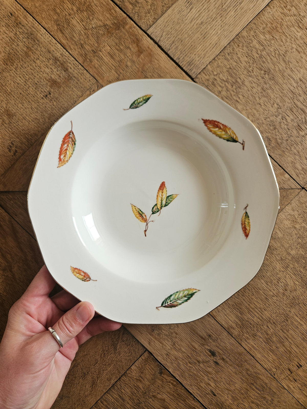 Assiettes creuses Digoin, Nemours