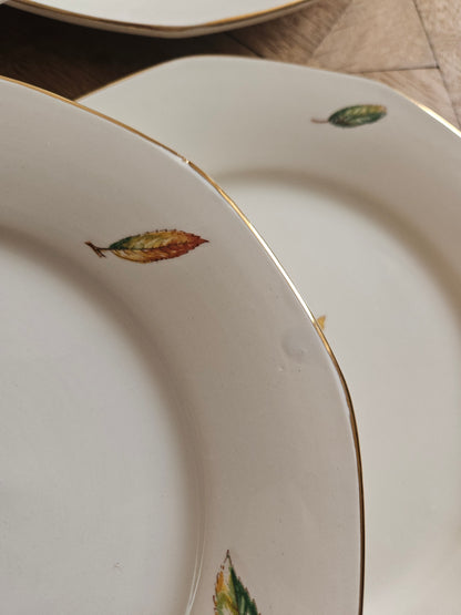 Assiettes plates Digoin, Nemours