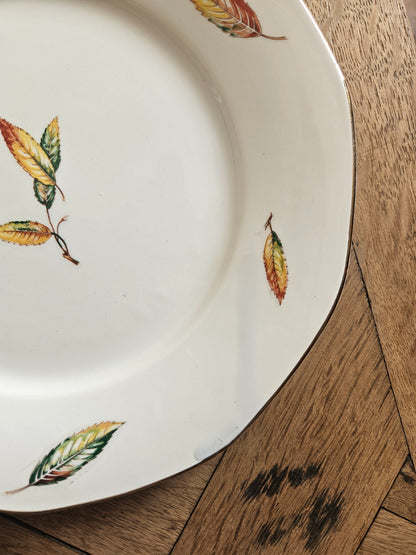 Assiettes plates Digoin, Nemours