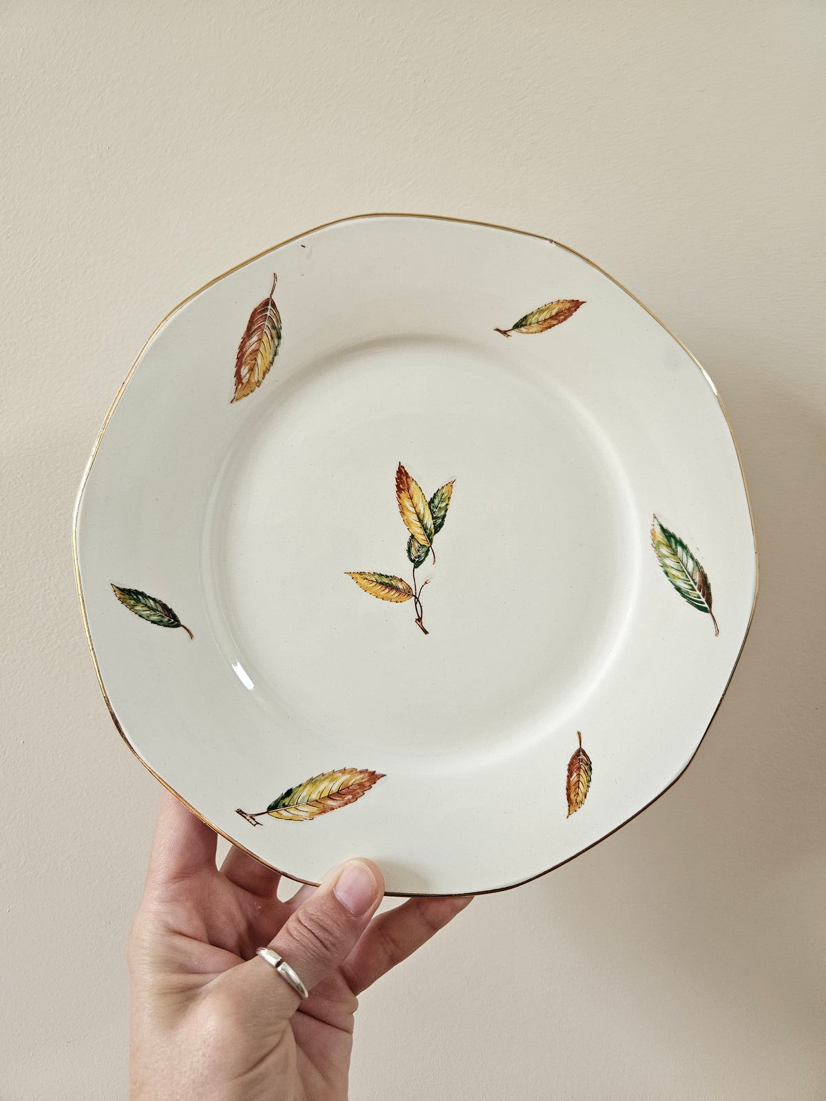 Assiettes plates Digoin, Nemours