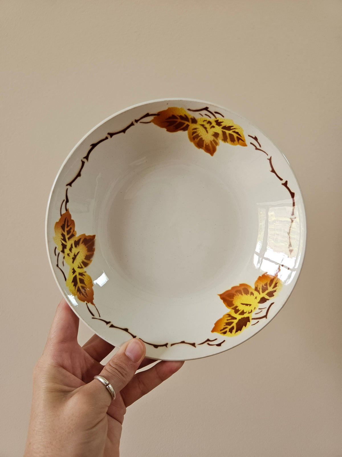 Assiettes calottes Moulin des Loups, automne
