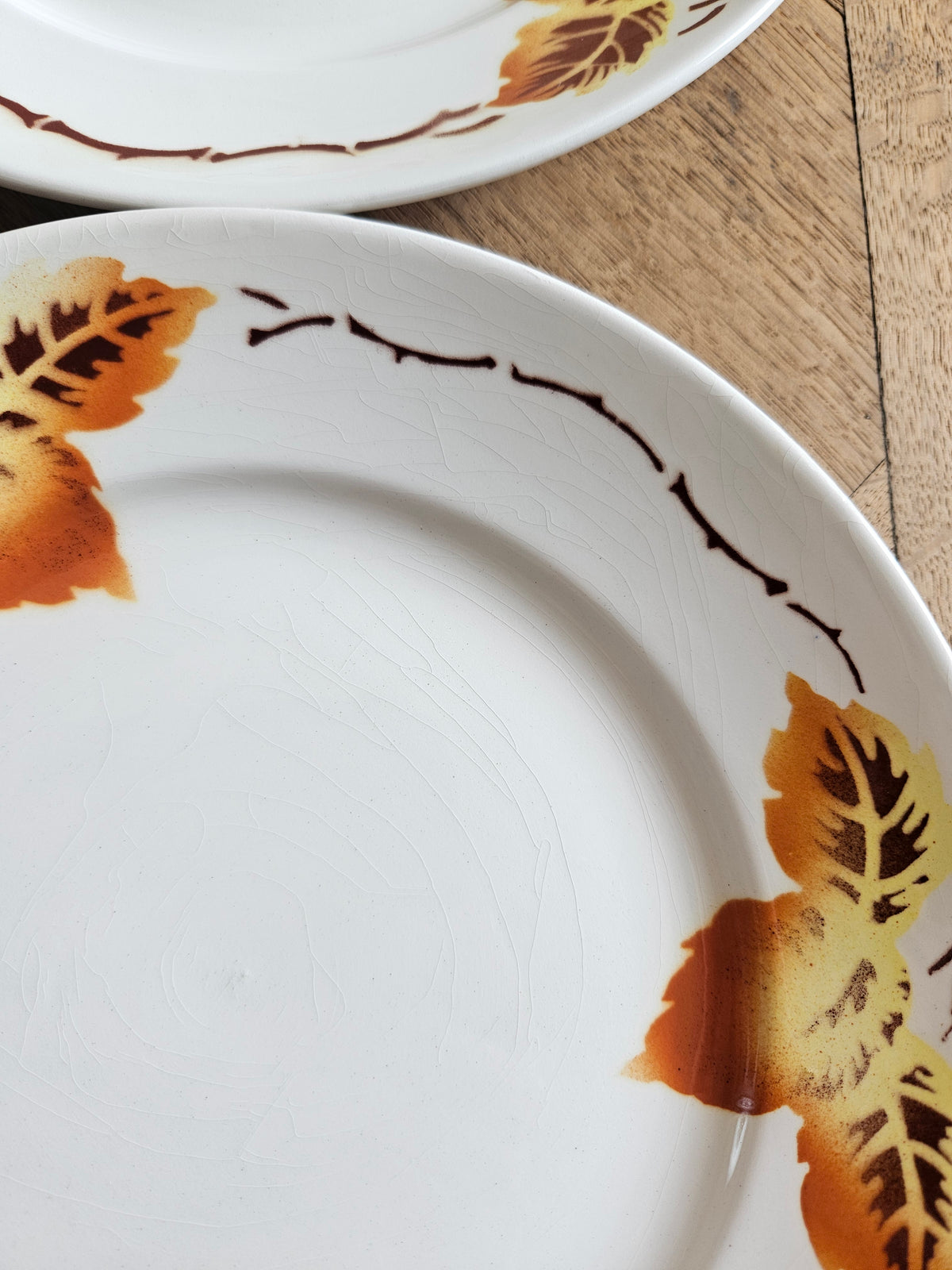 Assiettes plates Moulin des Loups, automne