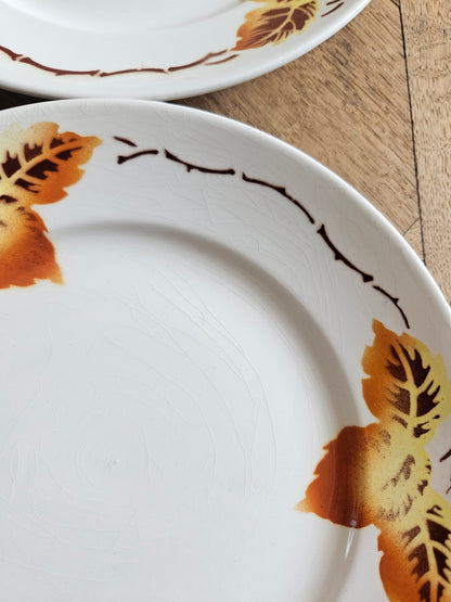 Assiettes plates Moulin des Loups, automne