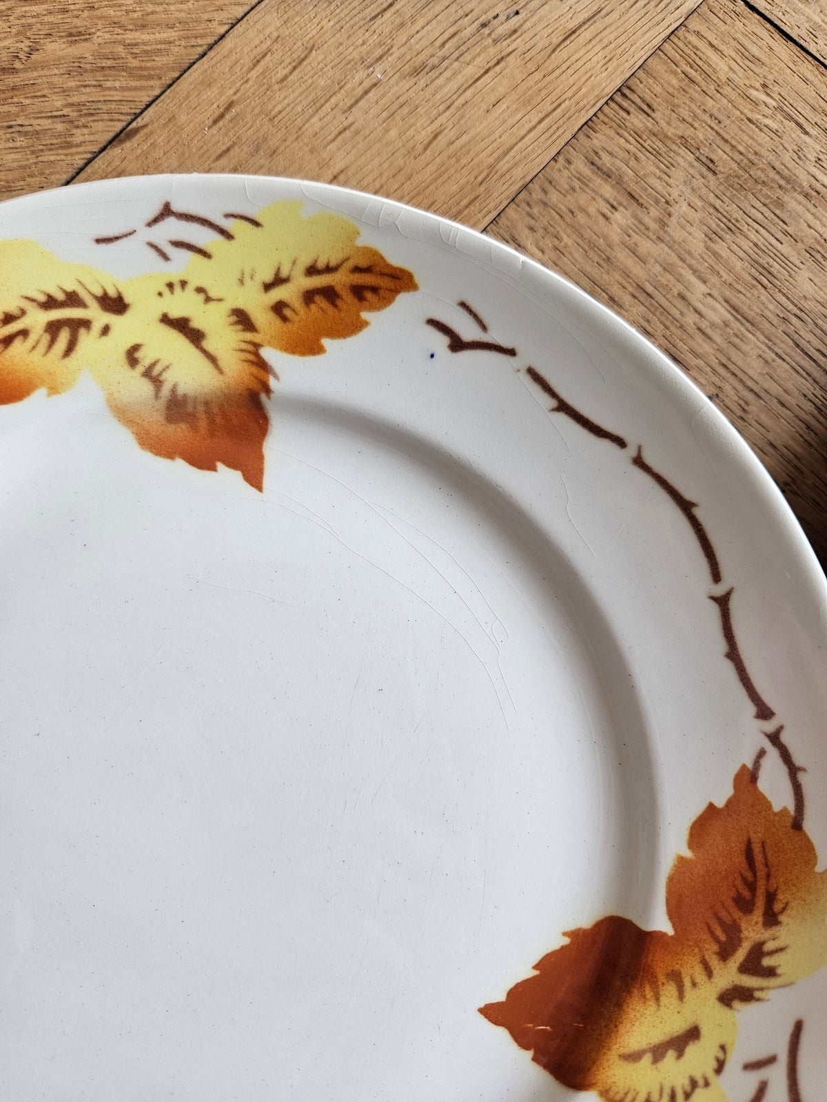 Assiettes plates Moulin des Loups, automne
