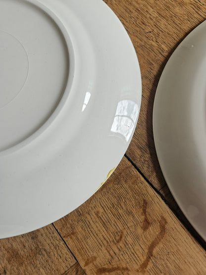 Assiettes plates Moulin des Loups, automne