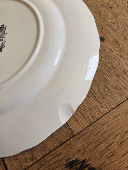 2 assiettes plates Johnson Brothers, Rose Chintz (défauts)
