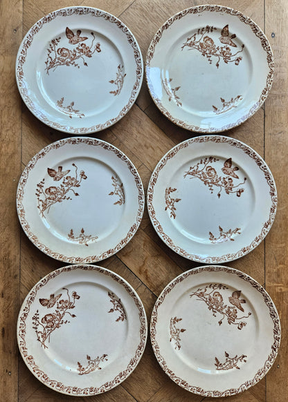 Série de 6 assiettes plates anciennes décor oiseau et coquelicots. Terre de fer couleur sépia. 